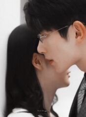 Trong rừng hươu sâu thẳm là Tô Tô