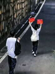 lọ lem và những đóa hoa