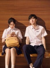 mễ lộ thần phong