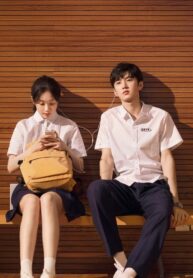 mễ lộ thần phong